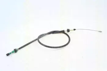 triscan-814029352