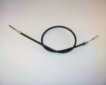 triscan-814038107