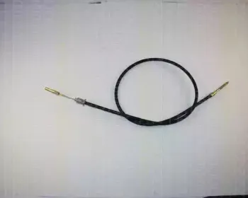 triscan-814038108