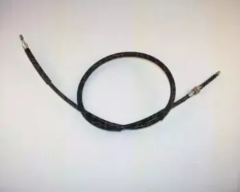 triscan-814038121