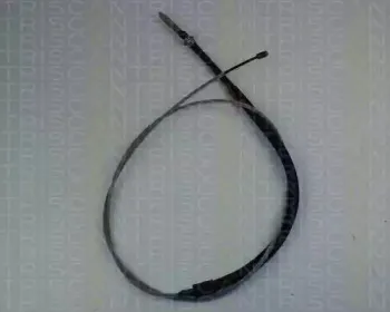 triscan-814038136