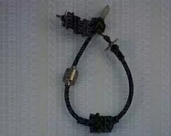 triscan-814038236