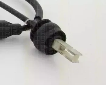 triscan-814038262