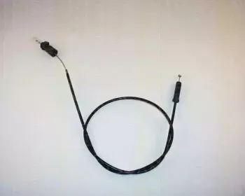 triscan-814038308