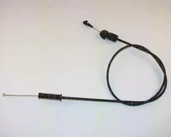 triscan-814038309