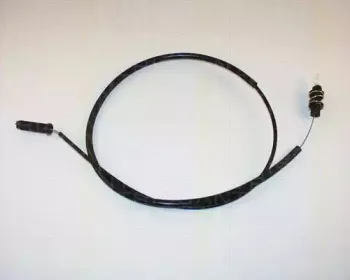 triscan-814038317