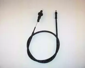 triscan-814038320