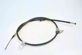 triscan-814043117