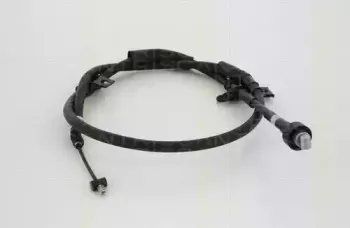 triscan-814043198