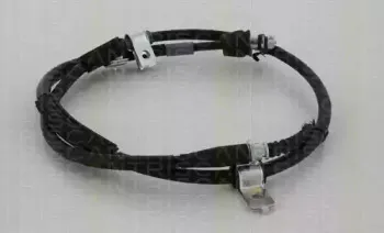 triscan-814043199