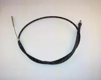 triscan-814065103