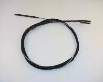 triscan-814065104
