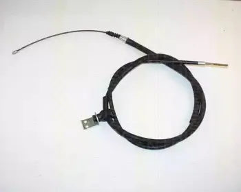triscan-814065105