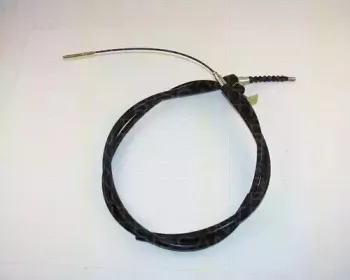 triscan-814065107