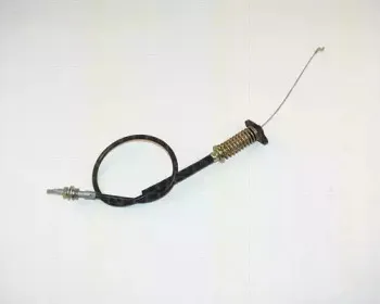 triscan-814065303