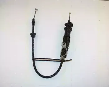 triscan-814066205