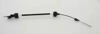 triscan-814066209
