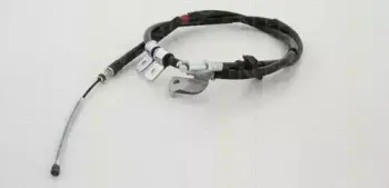 triscan-814068102