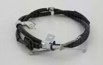 triscan-814068121
