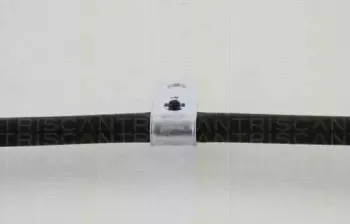 triscan-814068121