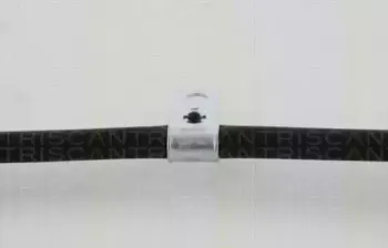 triscan-814068121