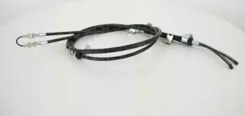triscan-814069136