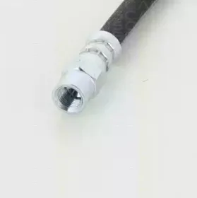 triscan-815011202