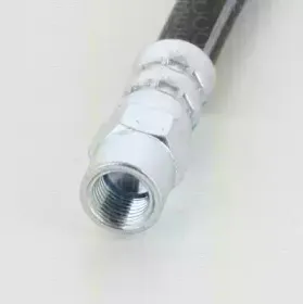 triscan-815011221