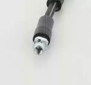 triscan-815011233