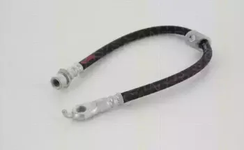 triscan-815013262