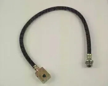 triscan-815014217