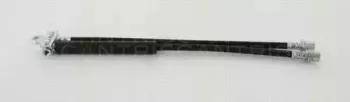 triscan-815016221