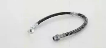 8150 18205 TRISCAN