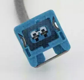 triscan-815028212