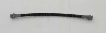 triscan-815028220