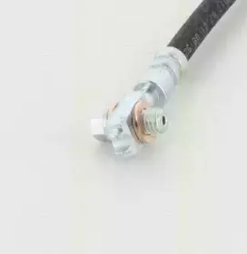 triscan-815029127