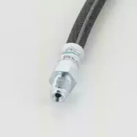 triscan-815029203