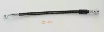 triscan-815069218