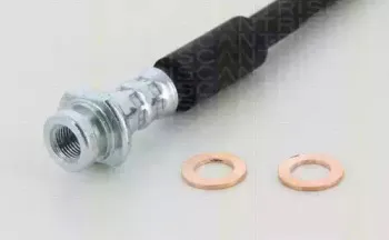 triscan-815069218