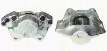 triscan-817034289