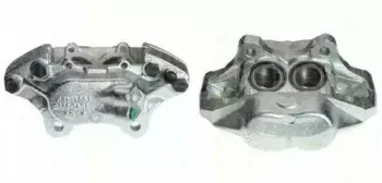 triscan-817034487