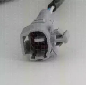 triscan-818013106