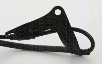 triscan-818013140