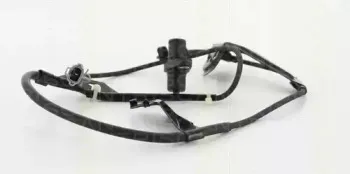 triscan-818013604