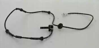 triscan-818015308
