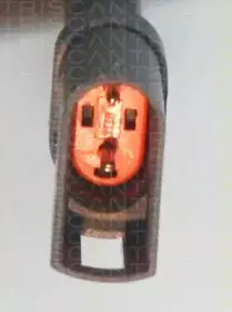triscan-818016114