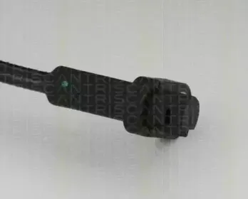 triscan-818016210