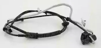 triscan-818029214