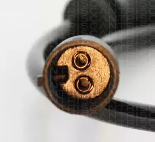 triscan-818029280