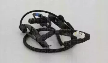 triscan-818043404